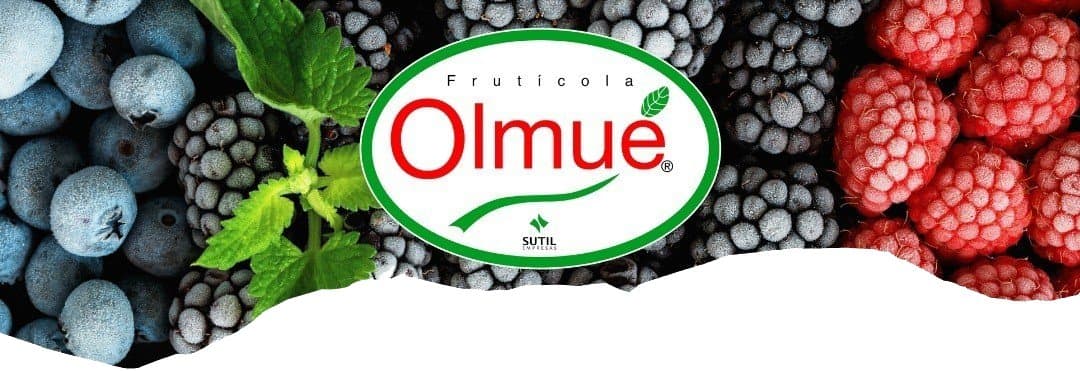 Logo Fruticola Olmué